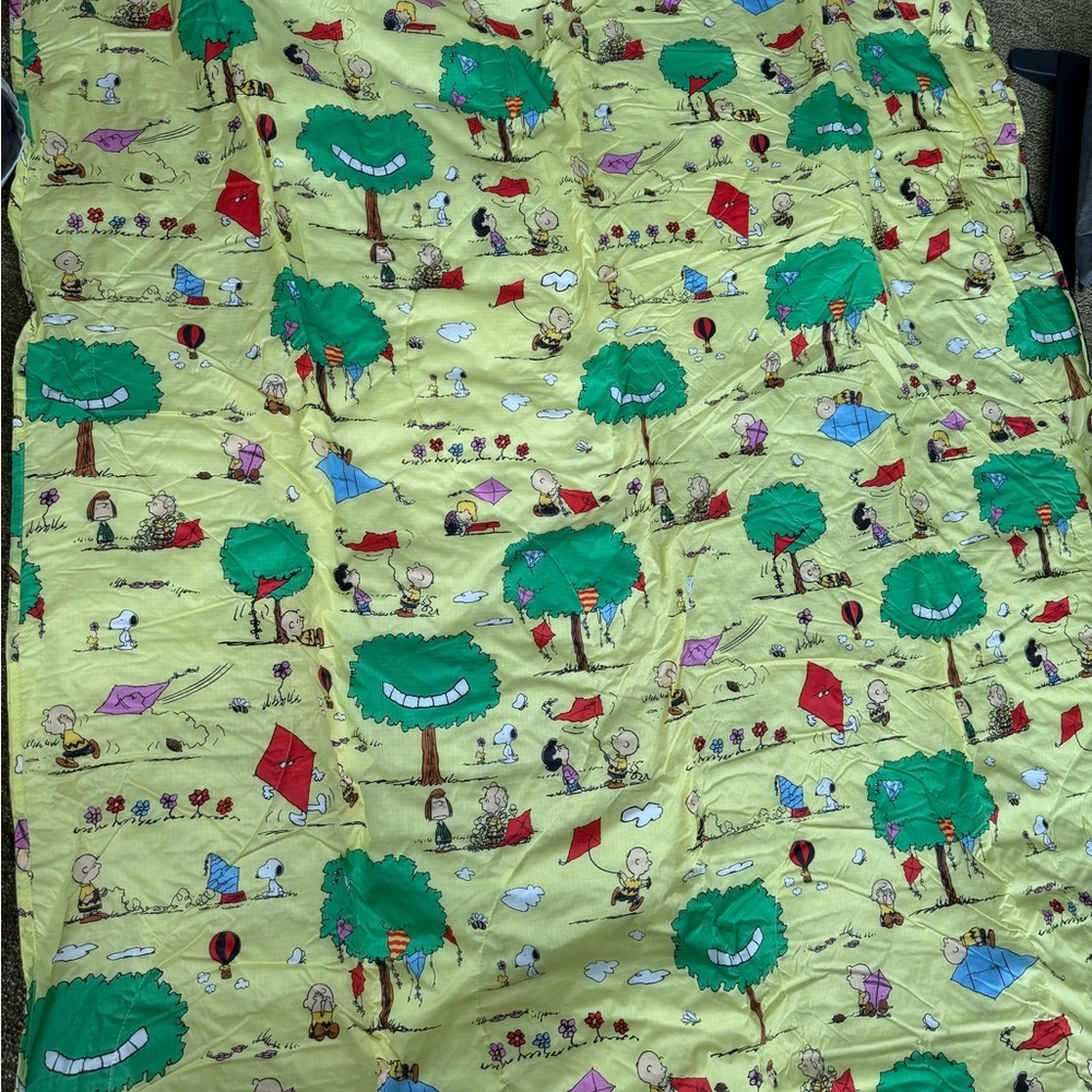 Peanuts x Baggu picnic blaket